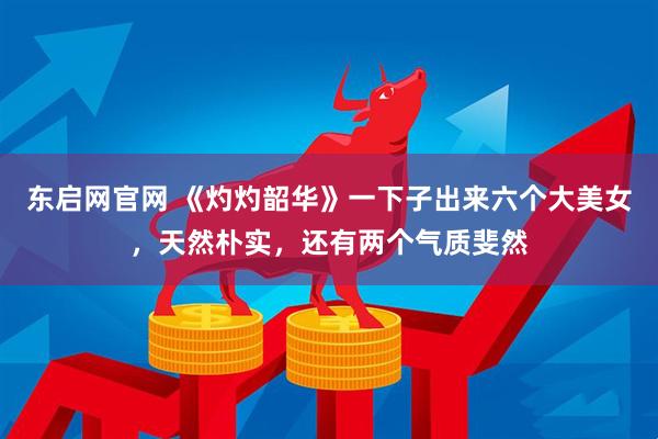 东启网官网 《灼灼韶华》一下子出来六个大美女，天然朴实，还有两个气质斐然