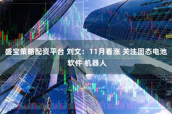 盛宝策略配资平台 刘文：11月看涨 关注固态电池 软件 机器人