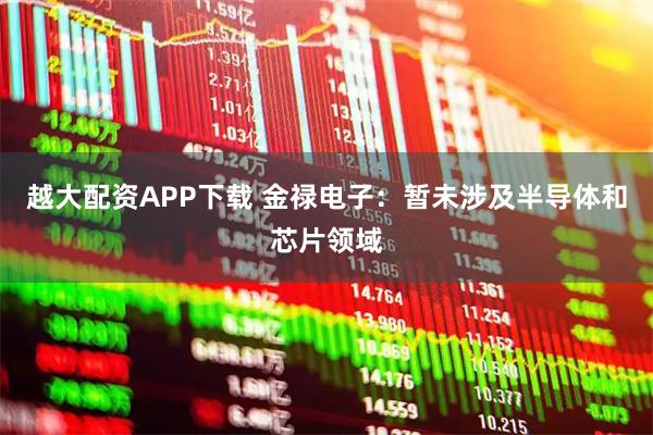 越大配资APP下载 金禄电子：暂未涉及半导体和芯片领域