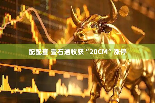 配配查 壹石通收获“20CM”涨停