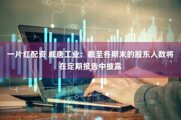 一片红配资 威唐工业：截至各期末的股东人数将在定期报告中披露