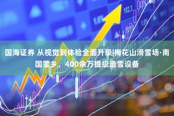 国海证券 从视觉到体验全面升级|梅花山滑雪场·南国雪乡，400余万提级造雪设备
